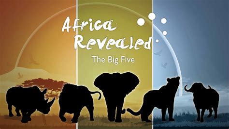 Big 5 Africa PokerStars